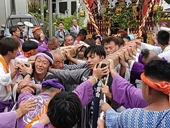 午後は止んだので急遽撮影に行きました