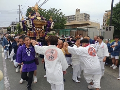 こちらも神輿、担ぎ方共に江戸前です♪