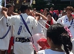円蔵の帰りにたまたま見つけたので